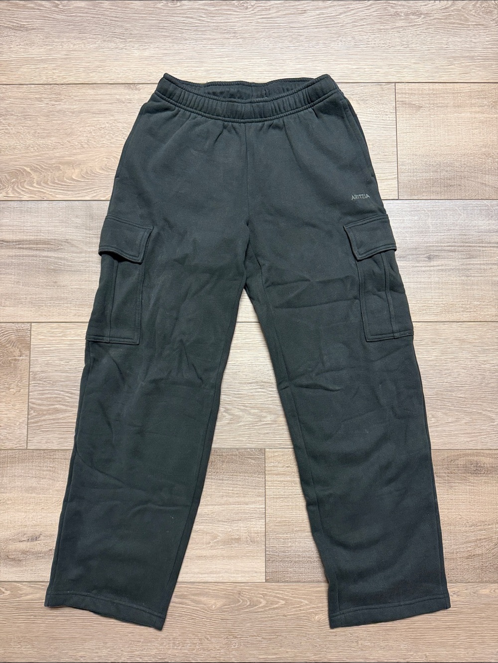 Aritiza Cargo Sweatpants